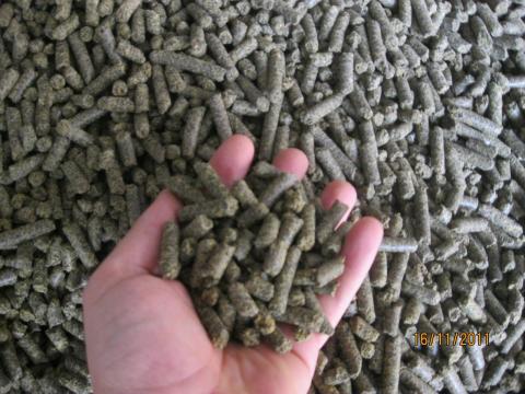 Repce pellet eladó Repce pellet eladó