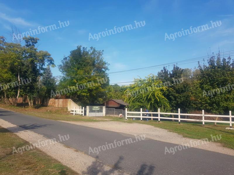 20% beépíthetőség,  8500 m2 belterületi telek/üdülő/ingatlan