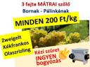 3 fajta minőségi mátrai szőlő ingyenes bogyózással – bornak - pálinkának – Zweigelt - Kékfrankos - Olaszrizling