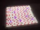 800W LED Növénynevelő Lámpa – T2-800-M