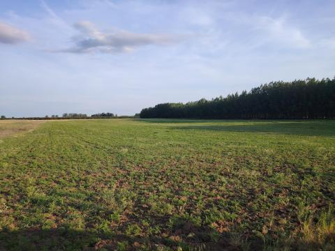 Szántóföld eladó Heves és Jászszentandrás között  Szántóföld eladó Heves és Jászszentandrás között