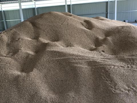 Bio búza eladó, takarmány minőségben Bio búza eladó, takarmány minőségben