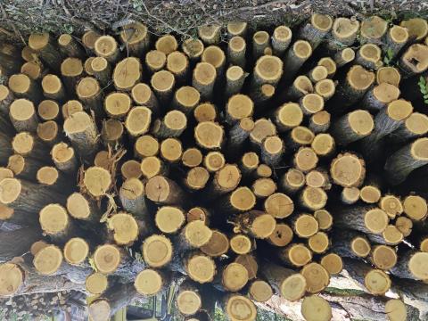 260 cm-es akác oszlop, Abaujlak