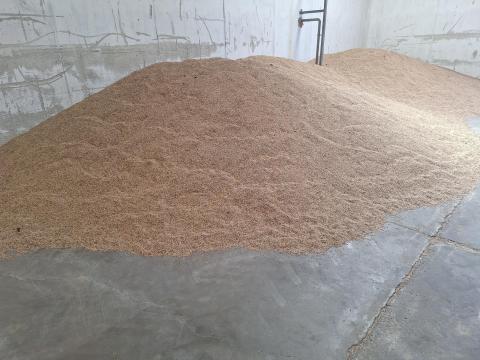 Rozs eladó Rozs eladó