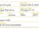 Shagya arab - Gazal Árnyék