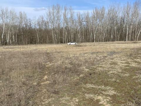 Eladó 100 hektáros egybefüggő birtok erdővel, szántóval és tanyával Eladó 100 hektáros egybefüggő birtok erdővel, szántóval és tanyával