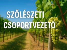 Szőlészeti csoportvezető