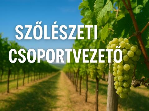 Szőlészeti csoportvezető Szőlészeti csoportvezető