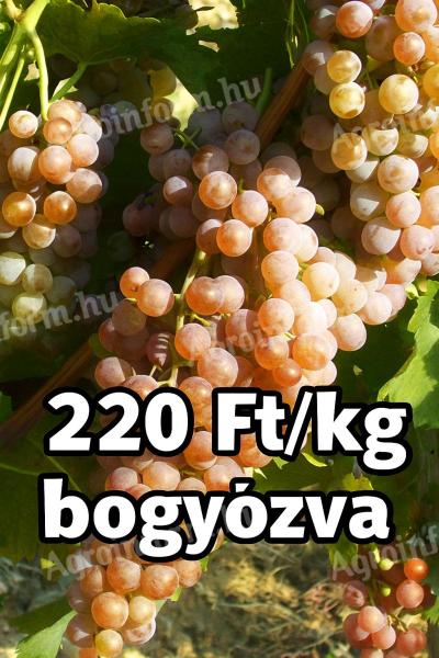 Cserszegi fűszeres szőlő pálinkának eladó, ingyen bogyózva