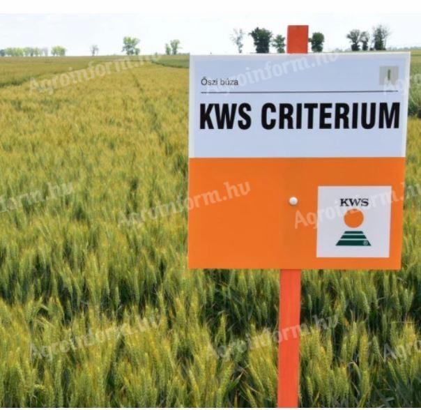 KWS CRITERIUM őszi búza vetőmag