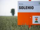 SOLEHIO őszi búza vetőmag