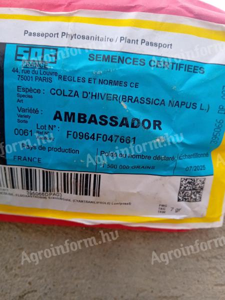 Repce vetőmag LG Ambassador – 2025-ös prémium minőségben