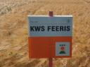 KWS FEERIS őszi árpa vetőmag