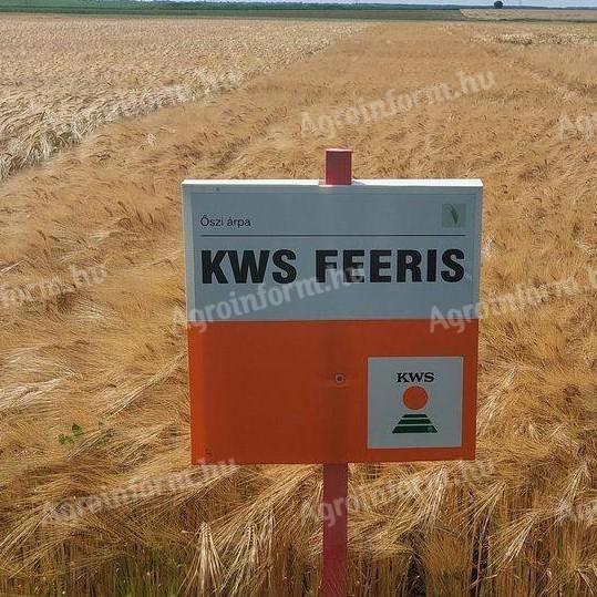 KWS FEERIS őszi árpa vetőmag