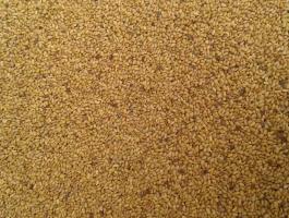 Fémzárolt Express Fajta Lucernamag Lucerna Mag Eladó Postázva Is