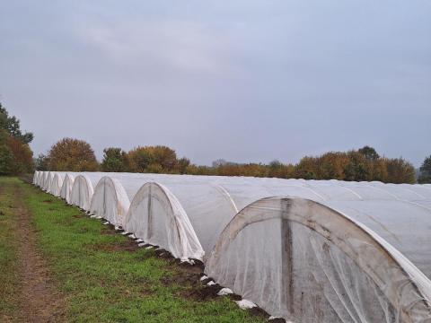 Hatos fóliák eladók,  4 db fóliaház komplett tartozékokkal
