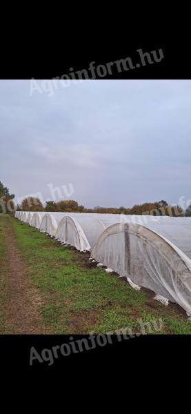 Hatos fóliák eladók,  4 db fóliaház komplett tartozékokkal