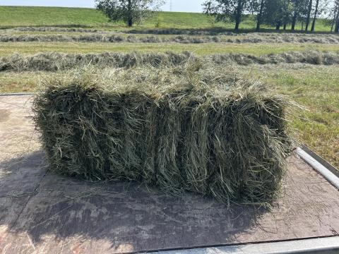 Sarjú kis kocka szénabálák Sarjú kis kocka szénabálák