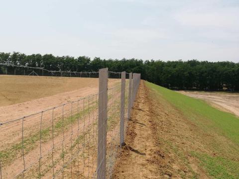 CSAVART KÖTÉSŰ VADHÁLÓ (369 Ft) CSAVART KÖTÉSŰ VADHÁLÓ (369 Ft)