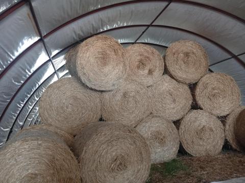 Rozs szalma körbála eladó Rozs szalma körbála eladó