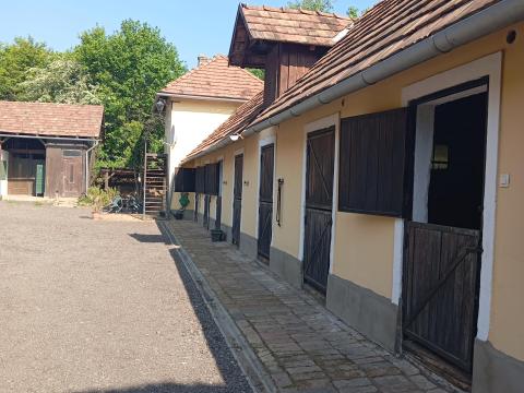 Kiadó lovarda Piliscsabán – angolbokszos istálló 15 férőhellyel