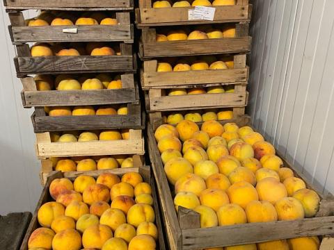 Gumibarack Gumibarack