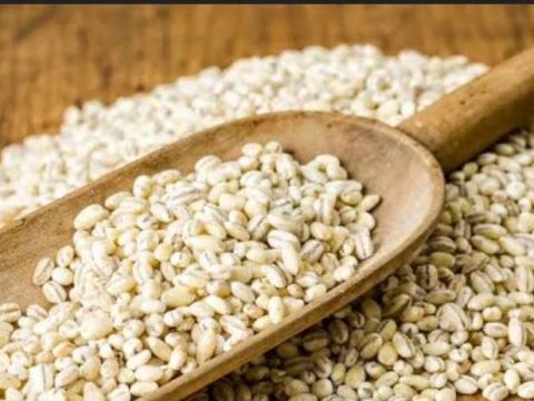 Őszi árpa eladó – tisztított, akár vetésre is Őszi árpa eladó – tisztított, akár vetésre is