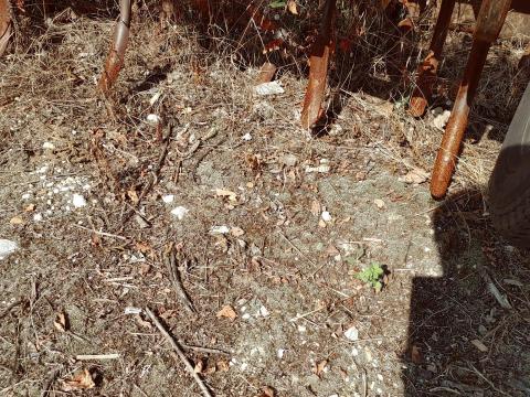 Kombinátor eladó, jó állapotban, 3,3 méteres munkaszélességgel Kombinátor eladó, jó állapotban, 3,3 méteres munkaszélességgel