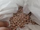 Yellow peas