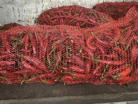 Fűszerpaprika Szegedi 80 Fűszerpaprika Szegedi 80