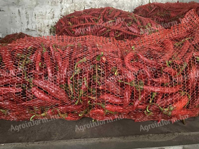 Fűszerpaprika Szegedi 80