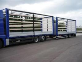 Teljes és részrakományok szállítása Észak-Európába