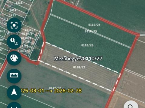 Szántó eladó Békés vármegyében, Mezőhegyes külterületén