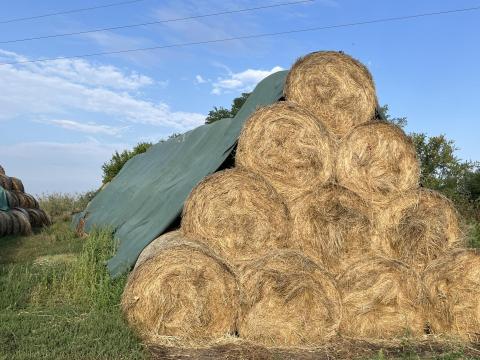 Kiváló minőségű réti széna körbálában eladó Kiváló minőségű réti széna körbálában eladó
