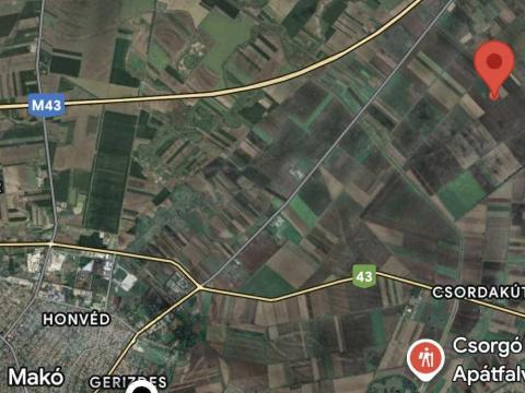 Termőföld eladó Makó közelében – 29,94 ha szántó Termőföld eladó Makó közelében – 29,94 ha szántó