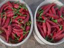 Csípös fűszerpaprika eladó