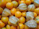 Schönbrunner Gold Földicseresznye (Tomatillo) bio vetőmag