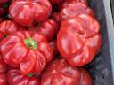 Pritamin paprika nagy tételben eladó