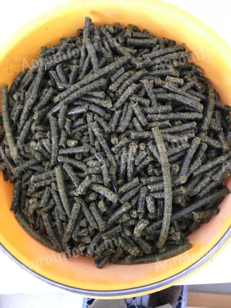 Tökmag és lenmag pellet – magas fehérjetartalommal