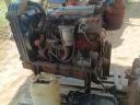 MTZ 50-es motor eladó