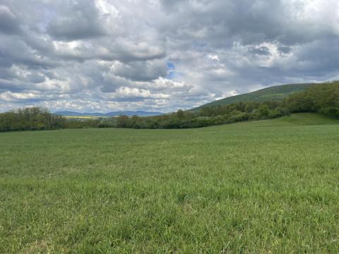 Apc külterületén mezőgazdasági földterület eladó Apc külterületén mezőgazdasági földterület eladó