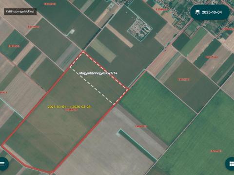 Eladó szántó Magyarbánhegyesen – 15,5695 ha,  378,34 AK