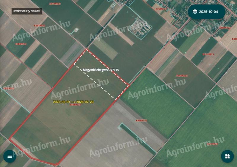 Eladó szántó Magyarbánhegyesen – 15,5695 ha,  378,34 AK