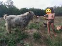 3 éves parlagi bak eladó