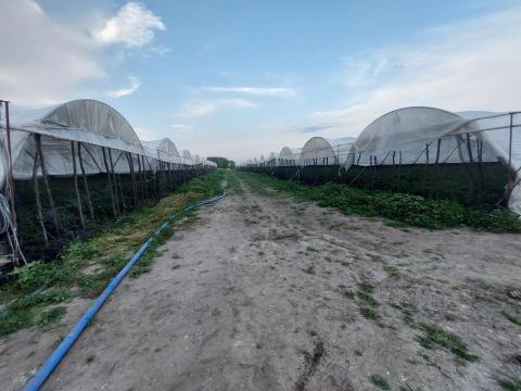 Eladó 1,2 ha Hygrove vándorsátor Eladó 1,2 ha Hygrove vándorsátor
