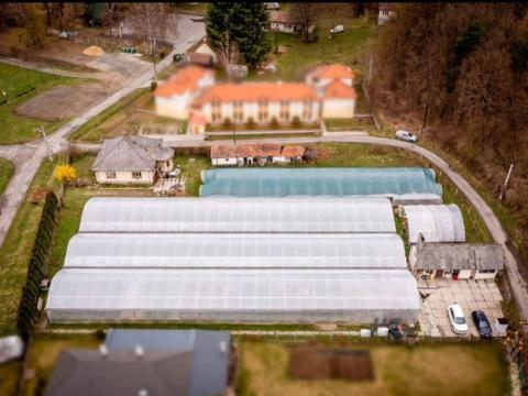 Eladó virágkertészet Eladó virágkertészet