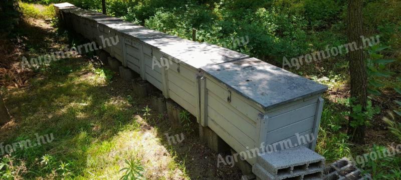 12 db NB18-as méhkaptár eladó