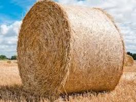 Eladó körbálás búzaszalma