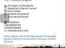 Komáromi gép KB 3011B 3m-es szárzúzó eladó