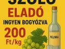 Olaszrizling szőlő bornak, pálinkának - minőségi mátrai szőlő ingyen bogyózva